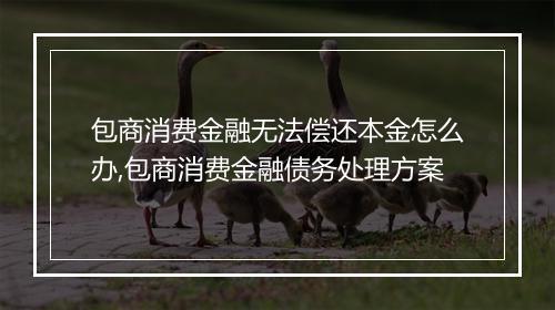 包商消费金融无法偿还本金怎么办,包商消费金融债务处理方案