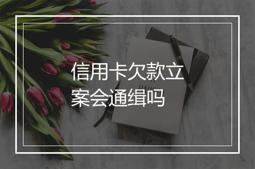 信用卡欠款立案会通缉吗