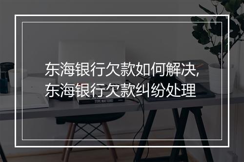 东海银行欠款如何解决,东海银行欠款纠纷处理