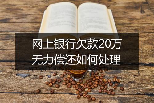 网上银行欠款20万无力偿还如何处理