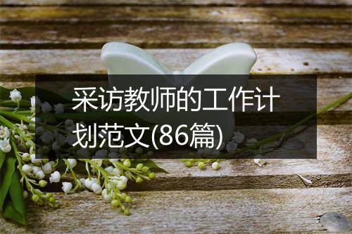 采访教师的工作计划范文(86篇)