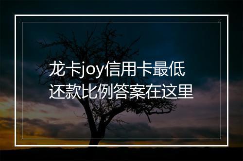 龙卡joy信用卡最低还款比例答案在这里