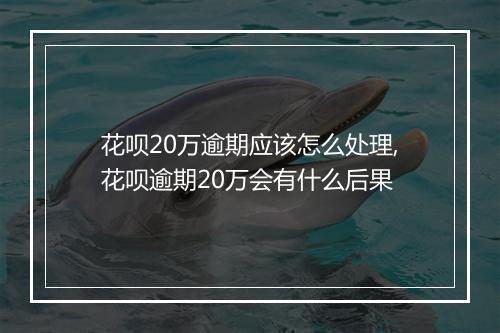 花呗20万逾期应该怎么处理,花呗逾期20万会有什么后果