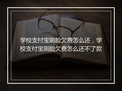 学校支付宝刷脸欠费怎么还，学校支付宝刷脸欠费怎么还不了款