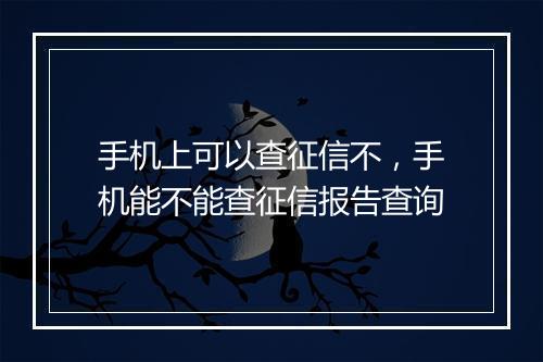 手机上可以查征信不，手机能不能查征信报告查询