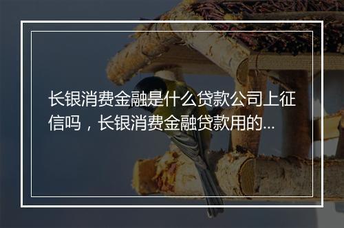 长银消费金融是什么贷款公司上征信吗，长银消费金融贷款用的什么app