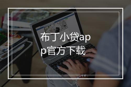 布丁小贷app官方下载