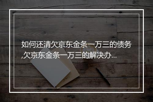 如何还清欠京东金条一万三的债务,欠京东金条一万三的解决办法
