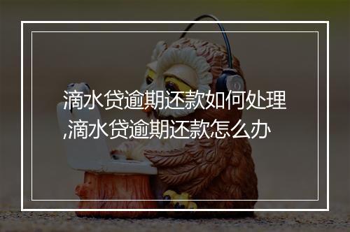 滴水贷逾期还款如何处理,滴水贷逾期还款怎么办