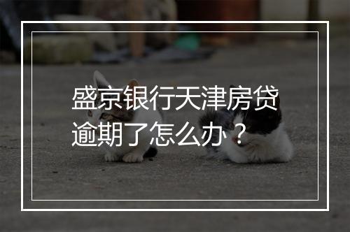 盛京银行天津房贷逾期了怎么办？