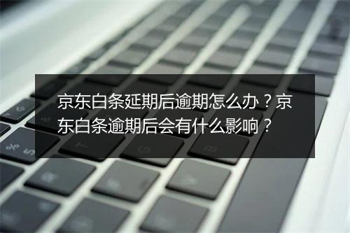 京东白条延期后逾期怎么办？京东白条逾期后会有什么影响？