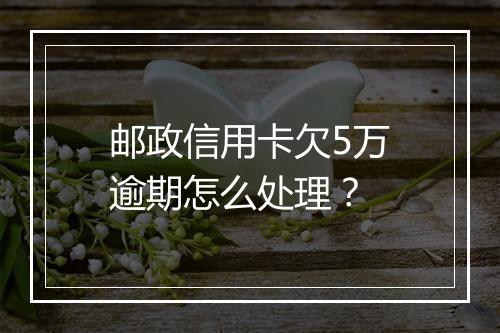 邮政信用卡欠5万逾期怎么处理？