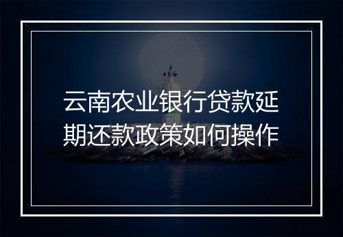云南农业银行贷款延期还款政策如何操作