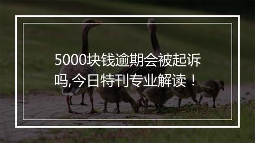 5000块钱逾期会被起诉吗,今日特刊专业解读！