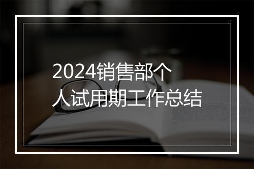 2024销售部个人试用期工作总结