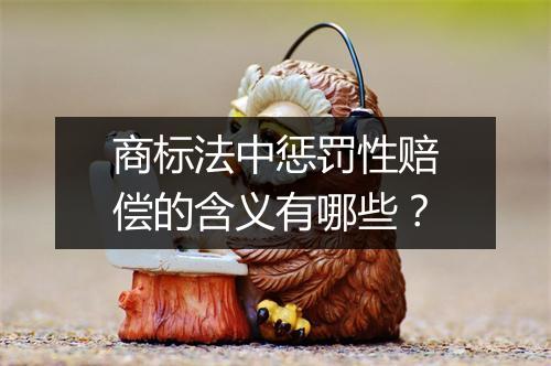 商标法中惩罚性赔偿的含义有哪些？