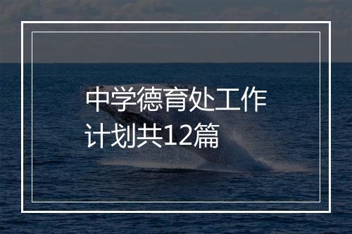 中学德育处工作计划共12篇
