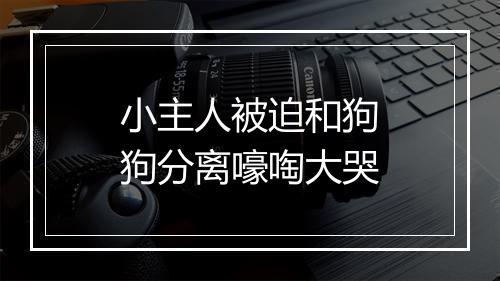 小主人被迫和狗狗分离嚎啕大哭