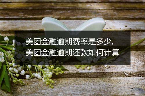美团金融逾期费率是多少,美团金融逾期还款如何计算