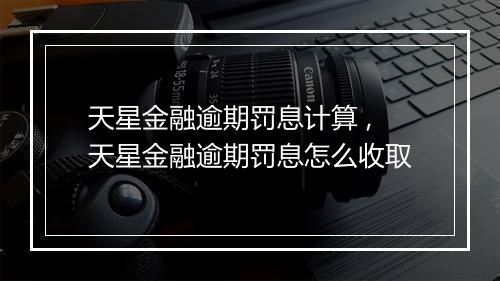 天星金融逾期罚息计算 ,天星金融逾期罚息怎么收取