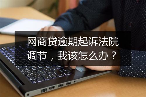 网商贷逾期起诉法院调节，我该怎么办？
