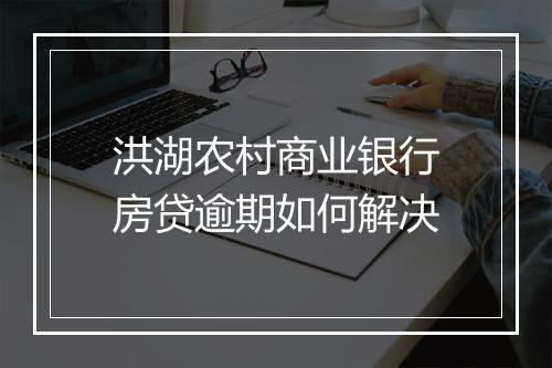 洪湖农村商业银行房贷逾期如何解决