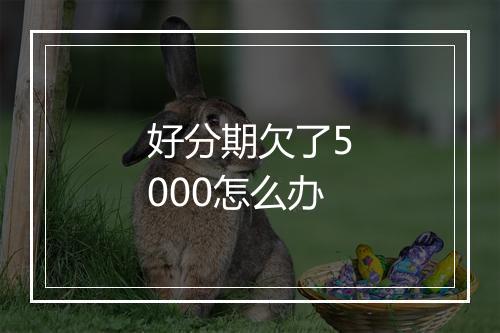 好分期欠了5000怎么办