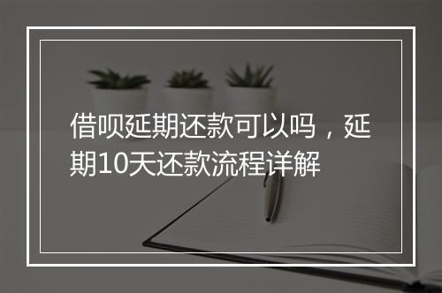 借呗延期还款可以吗，延期10天还款流程详解