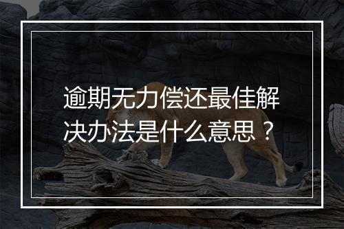 逾期无力偿还最佳解决办法是什么意思？
