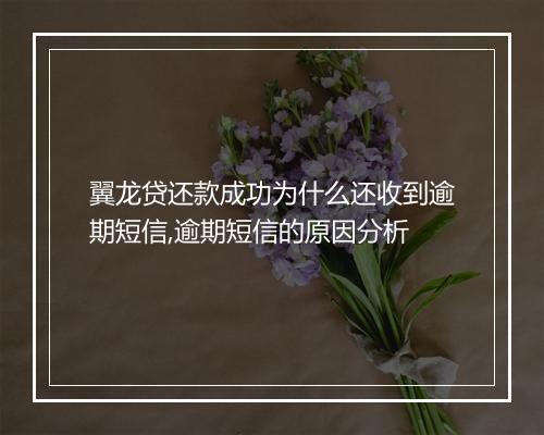 翼龙贷还款成功为什么还收到逾期短信,逾期短信的原因分析