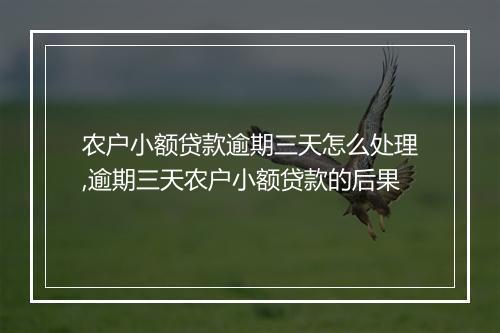 农户小额贷款逾期三天怎么处理,逾期三天农户小额贷款的后果
