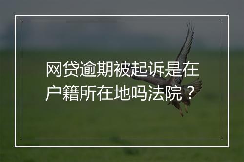 网贷逾期被起诉是在户籍所在地吗法院？