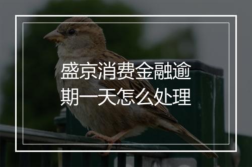 盛京消费金融逾期一天怎么处理