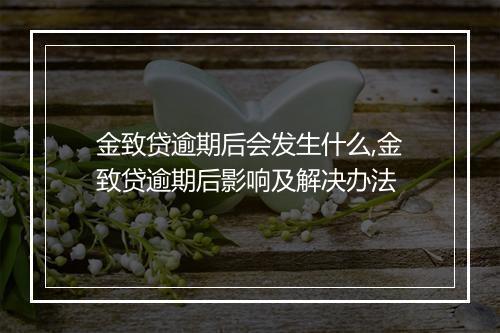 金致贷逾期后会发生什么,金致贷逾期后影响及解决办法
