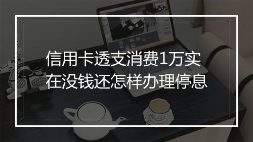 信用卡透支消费1万实在没钱还怎样办理停息
