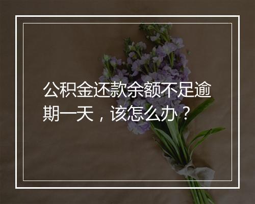 公积金还款余额不足逾期一天，该怎么办？