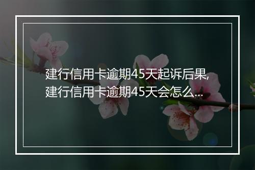 建行信用卡逾期45天起诉后果,建行信用卡逾期45天会怎么处理