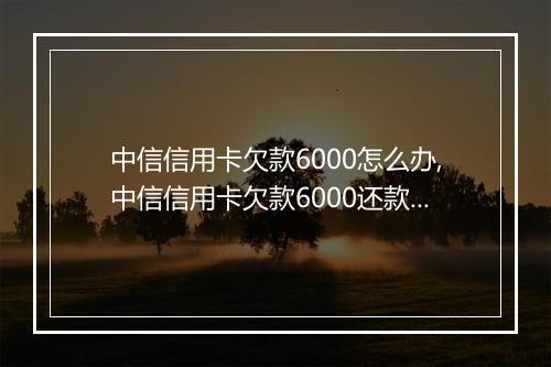 中信信用卡欠款6000怎么办,中信信用卡欠款6000还款方式