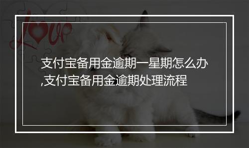 支付宝备用金逾期一星期怎么办,支付宝备用金逾期处理流程