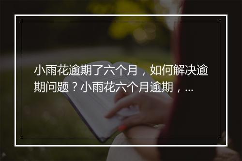 小雨花逾期了六个月，如何解决逾期问题？小雨花六个月逾期，应该怎么办？