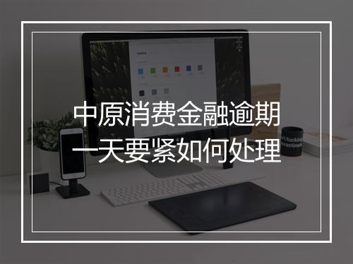 中原消费金融逾期一天要紧如何处理