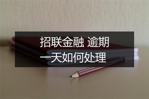招联金融 逾期一天如何处理
