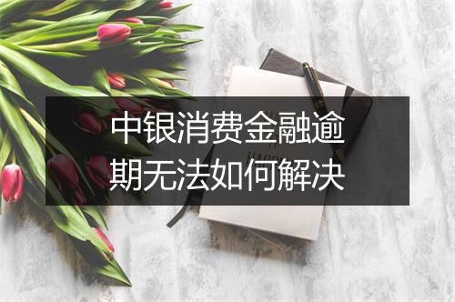 中银消费金融逾期无法如何解决