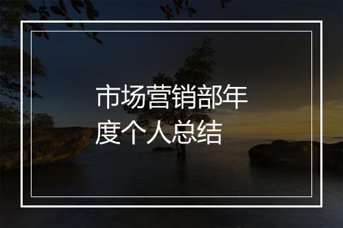 市场营销部年度个人总结