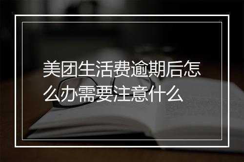 美团生活费逾期后怎么办需要注意什么