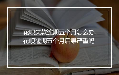 花呗欠款逾期五个月怎么办,花呗逾期五个月后果严重吗