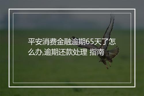 平安消费金融逾期65天了怎么办,逾期还款处理 指南