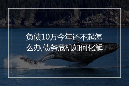 负债10万今年还不起怎么办,债务危机如何化解