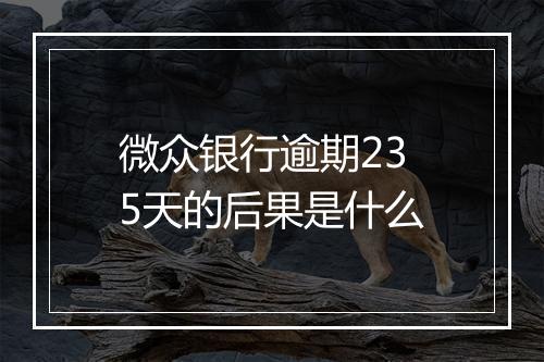 微众银行逾期235天的后果是什么