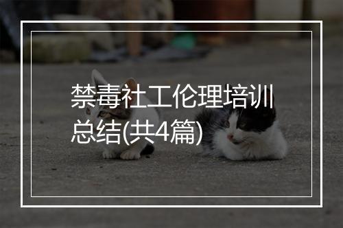禁毒社工伦理培训总结(共4篇)
